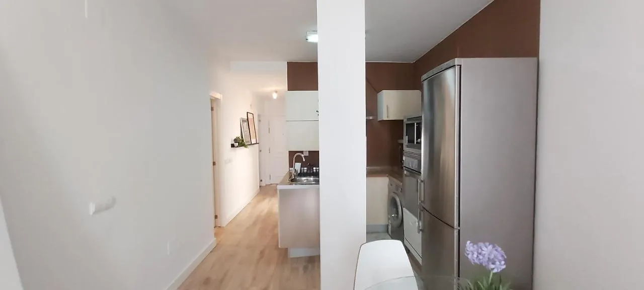 Malaga Centro Terraza Apartment